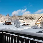 Haus Doktor Saeltzer-bis 9 Personen Lenzkirch