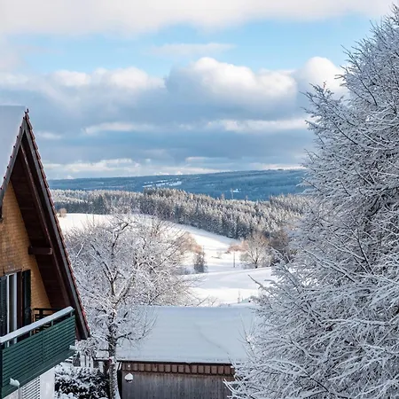 Haus Doktor Saeltzer-bis 9 Personen Апартаменты Ленцкирх